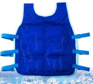 Customized Personal Cooling Vest For Athletes Dogs Clothing Approach
